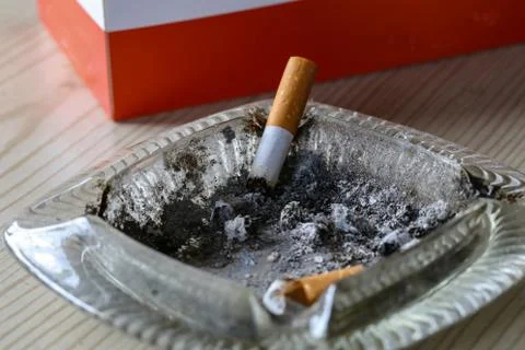 Cigarette butt thrown into an ashtray close up Stock Photos