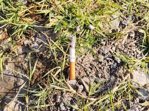 Cigarette butt thrown on the ground. Stock Photos
