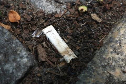 Cigarette butt tossed on the ground polluting the city street Stock Photos