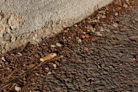 Cigarette butt tossed on side of road Stock Photos