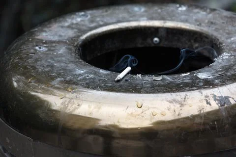 Cigarette butt in trash can Stock Photos