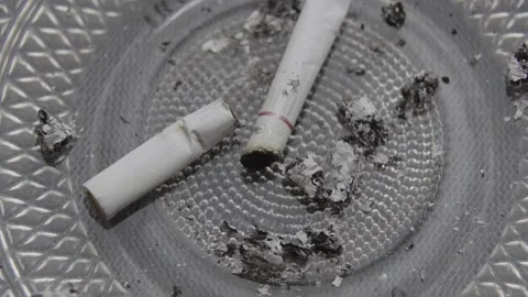 29 cigarettes The Menthols Ban: Delayed, Divisive and Far From Dead