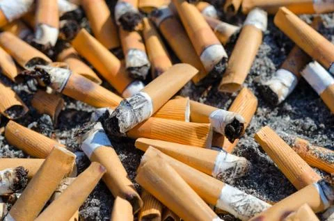 Cigarette butts close-up Stock-Fotos