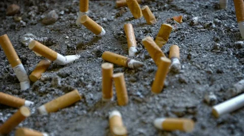 Cigarette Butts Extinguished in Sand Vidéo 51230228