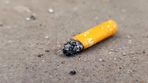 Cigarette butts on the floor Stock Footage 333029077