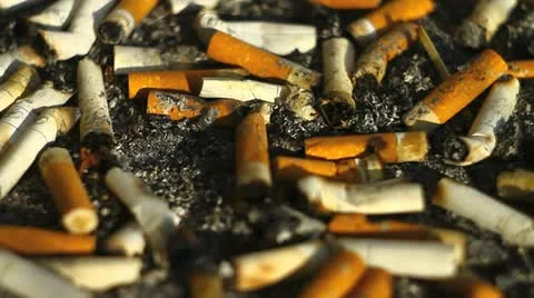 Cigarette butts Video stock 10917338