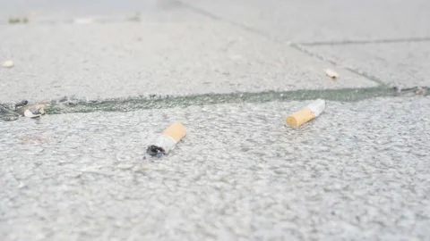 rollie cigarette Pretty good rollie, eh ? :D : r/Cigarettes