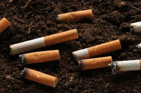 Cigarette butts on the ground Stock Photos