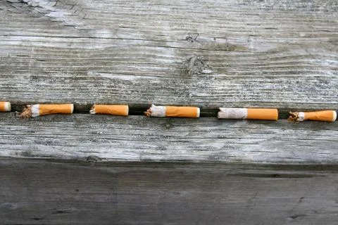 Cigarette butts in a line Stock Photos