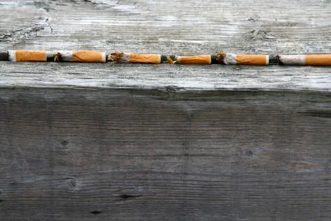 Cigarette butts in a line Foto stock