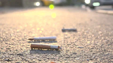 Cigarette butts on the pavement Video stock 55269942