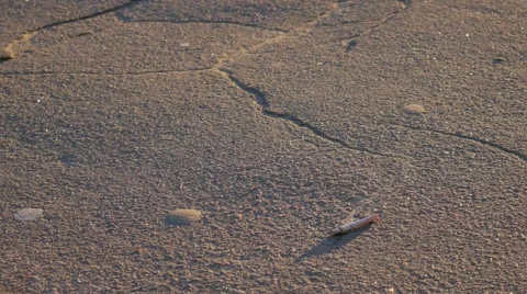 Cigarette Butts on the Pavement Stock-Footage 58697084