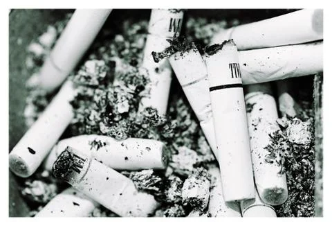 Cigarette butts Stock Photos