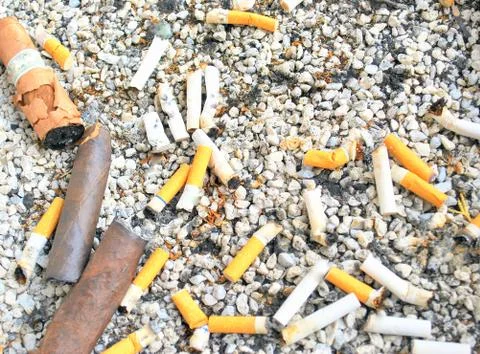 Cigarette butts. Stock Photos