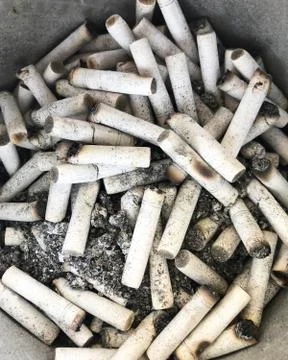 Cigarette butts Stock-Fotos