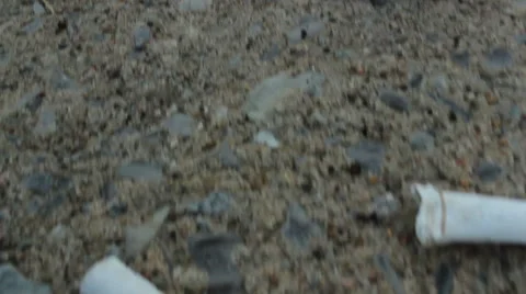 Cigarette Butts On the Sidewalk  Stock Footage 40971982
