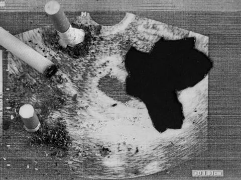 Cigarette cigarette stubs extinguished about a shot of pregnancy, pregnancy and Фото