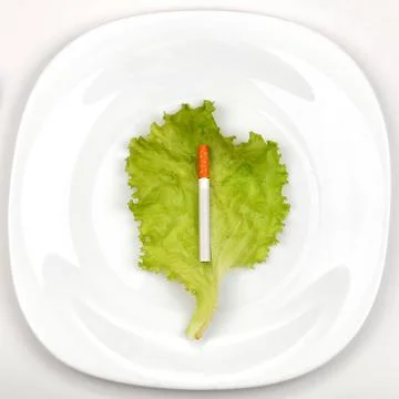 Cigarette on Dinner Plate Stock-Fotos