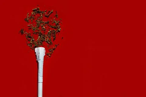 Cigarette in the form of a tree, dependence on smoking . Foto stock