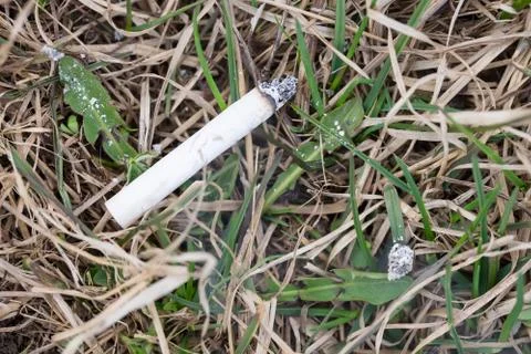 Cigarette on the grass the danger of a forest fire Foto stock