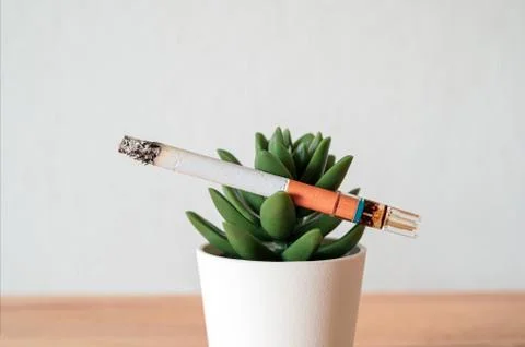 Cigarette holder filter reduce tar on wood desk. Stock Photos