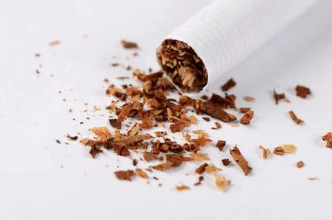 Cigarette isolated on a white background Stock Photos
