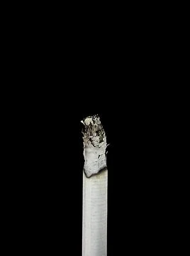 The cigarette isolated on a white background Stock Photos