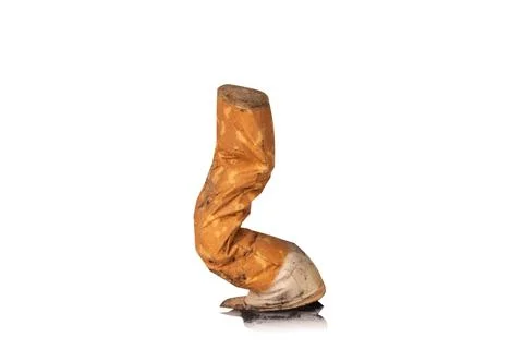 Cigarette isolated on white background Stock Photos
