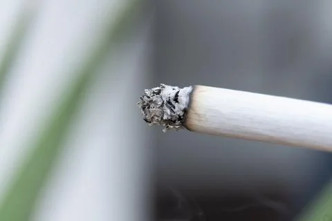 Cigarette macro view. cigarette burning. a cigarette slowly be consumed by fi Stock Photos