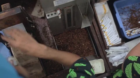 Cigarette Making Process Stock Footage 71517583