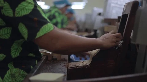 Cigarette Making Process Stock Footage 71517944