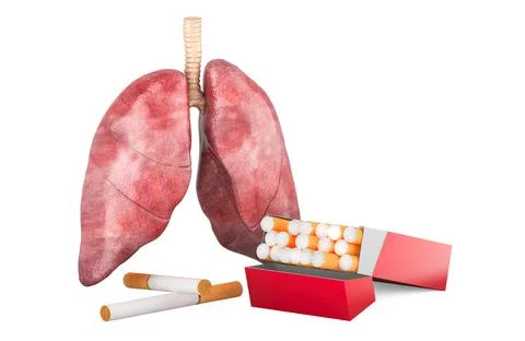 Cigarette pack with human lungs. Lungs disease from smoking, concept. 3D re.. Illustrazione stock