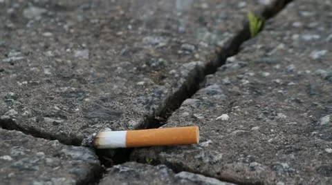 Cigarette on pavement 스톡 동영상 18195749