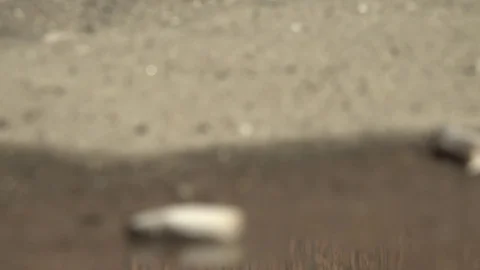 Cigarette on the pavement. Vídeo Stock 74631247