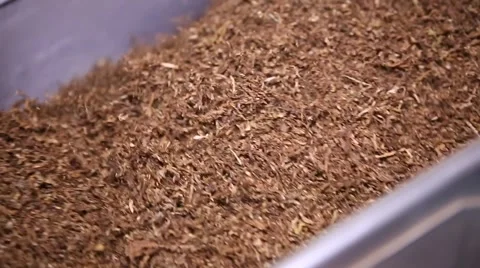 Cigarette production Vidéo 61175463
