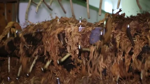 Cigarette production Vidéo 61175465