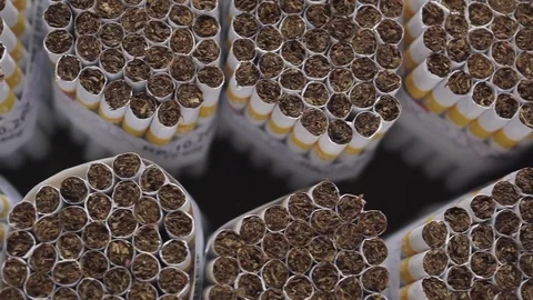 Cigarette production Video stock 71516860