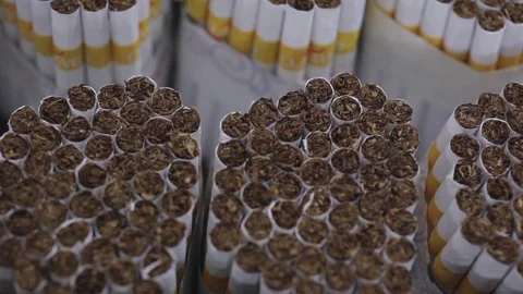 Cigarette Production Video stock 71518795