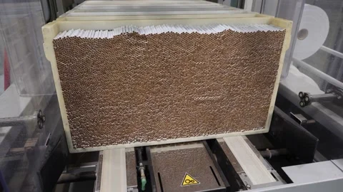 Cigarette Production Video stock 146070412