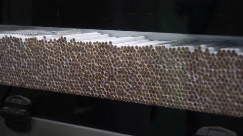 Cigarette production Stock Footage 146070500