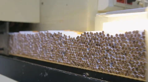 Cigarette production line Stock Footage 62692860