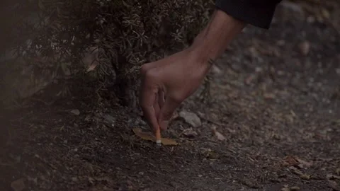 Cigarette put out in brown dry leaves cause start of forrest fire. Stock Footage 139658242