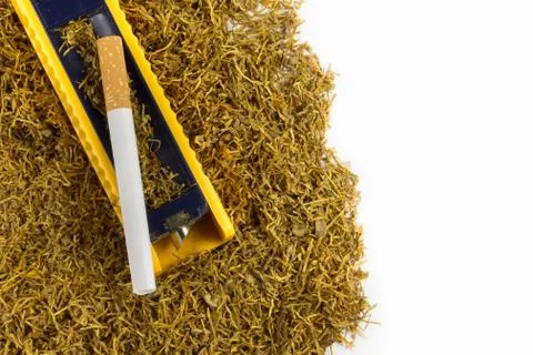 Cigarette rolling machine on tobacco Stock Photos