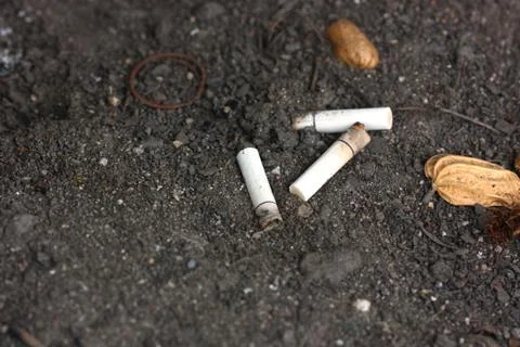 A cigarette on the sand tray Stock Photos