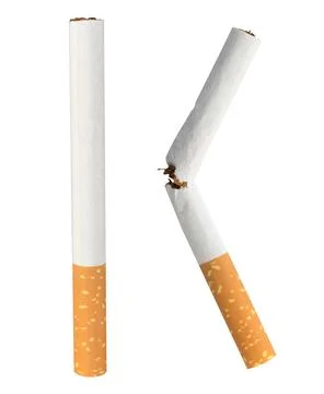 Cigarette single isolated on white background Stock Photos