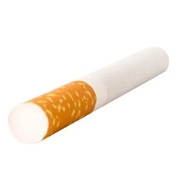 Cigarette single isolated on white background Stock Photos