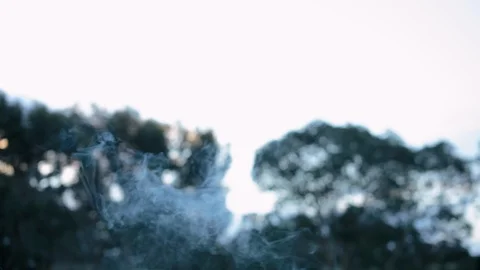 Cigarette smoke in the air Stock Footage 94883739
