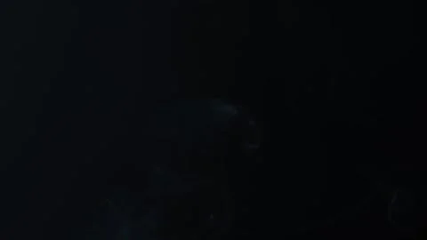 Cigarette smoke on black background, close-up Stock Footage 251640416