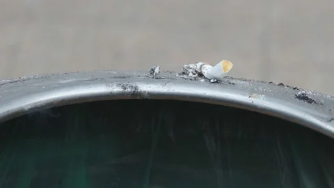 A cigarette smoking on an ashtray. Stock Footage 112957302