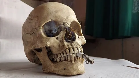 Cigarette smoking of a skull Stock Footage 171135719